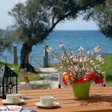 Melinda Holiday House Plomari Zimmer foto